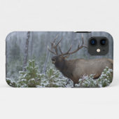 Bull Elk in sneeuw die belt, afluisteren, Yellowst Case-Mate iPhone Case (Achterkant (horizontaal))