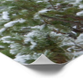 Bull Elk in sneeuw die belt, afluisteren, Yellowst Poster (Hoek)