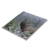 Bull Elk in sneeuw die belt, afluisteren, Yellowst Tegeltje (Zijkant)