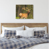 Bull Elk in Velvet, Canada Canvas Afdruk (Insitu (Slaapkamer))