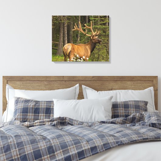 Bull Elk in Velvet, Canada Canvas Afdruk (Insitu (Slaapkamer))