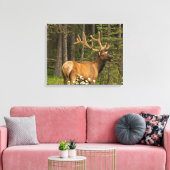 Bull Elk in Velvet, Canada Canvas Afdruk (Insitu (Woonkamer))