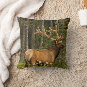 Bull Elk in Velvet, Canada Kussen