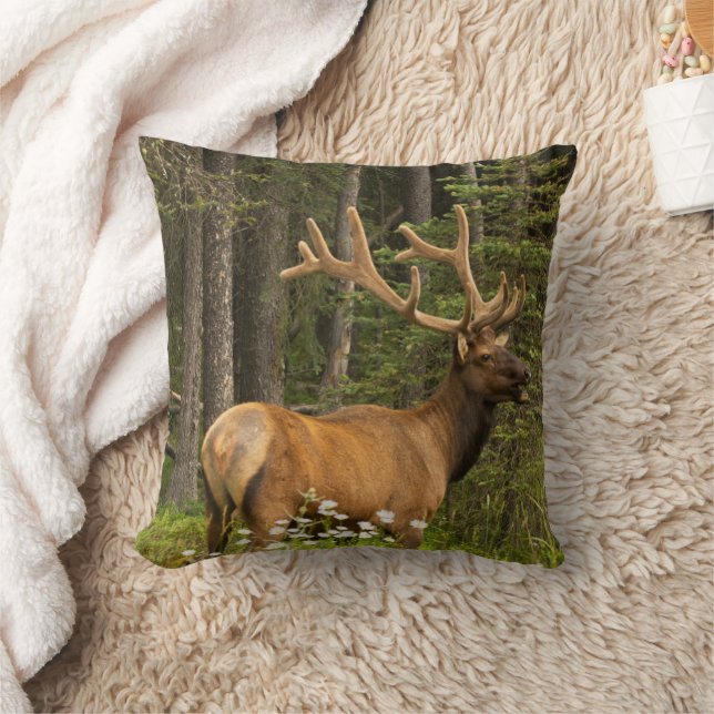 Bull Elk in Velvet, Canada Kussen (Deken)