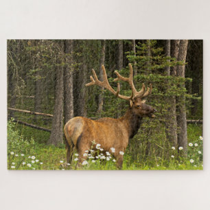Bull Elk in Velvet, Canada Legpuzzel