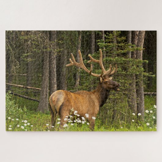 Bull Elk in Velvet, Canada Legpuzzel (Horizontaal)