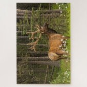 Bull Elk in Velvet, Canada Legpuzzel (Verticaal)