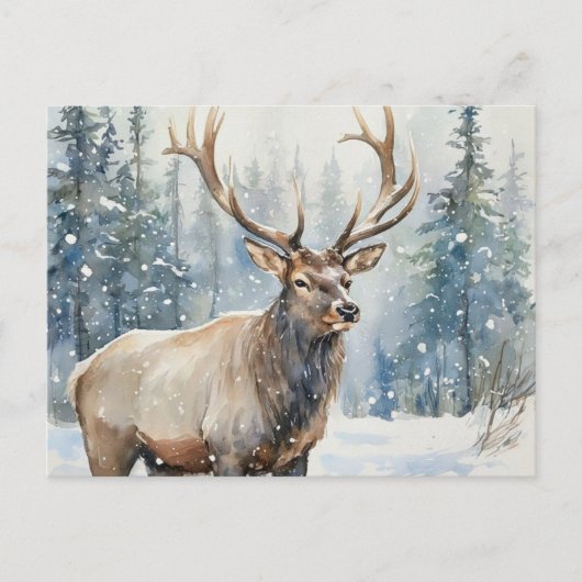 Bull Elk in Winter Snow Wildlife Briefkaart (Voorkant)