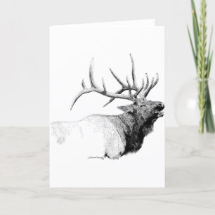 Bull Elk Kaart