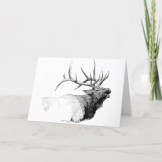Bull Elk Kaart