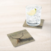 Bull Elk Laying in Grass Kartonnen Onderzetters (Insitu)