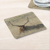 Bull Elk Laying in Grass Kartonnen Onderzetters (Schuin)