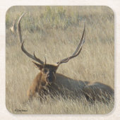 Bull Elk Laying in Grass Kartonnen Onderzetters (Voorkant)