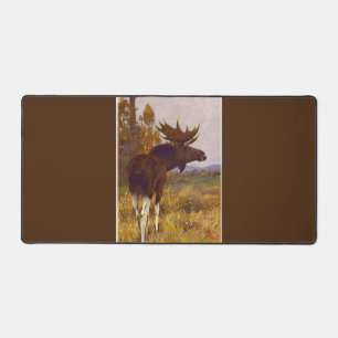Bull Elk met Bell Bureaumat