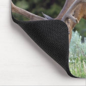 Bull Elk met gewei in fluwelen begrazing Muismat (Hoek)