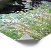 Bull Elk met gewei in fluwelen begrazing Poster (Hoek)