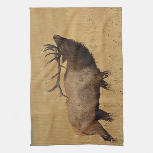 Bull Elk met hoofd terug Theedoek (Verticaal)