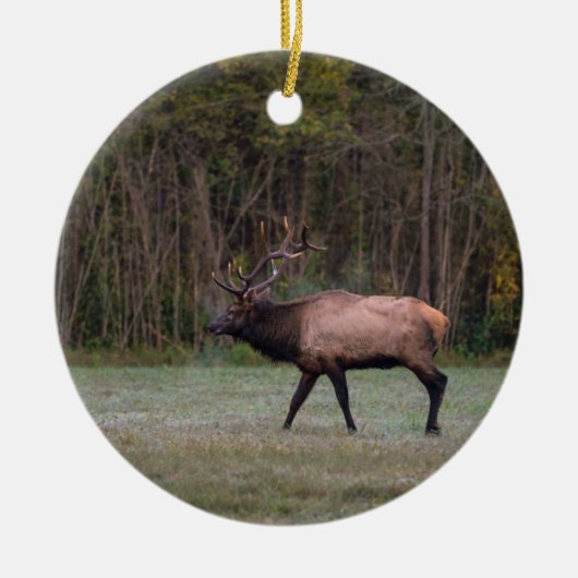 Bull Elk Morning Walk Keramisch Ornament (Voorkant)