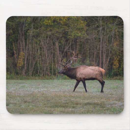 Bull Elk Morning Walk Muismat (Voorkant)
