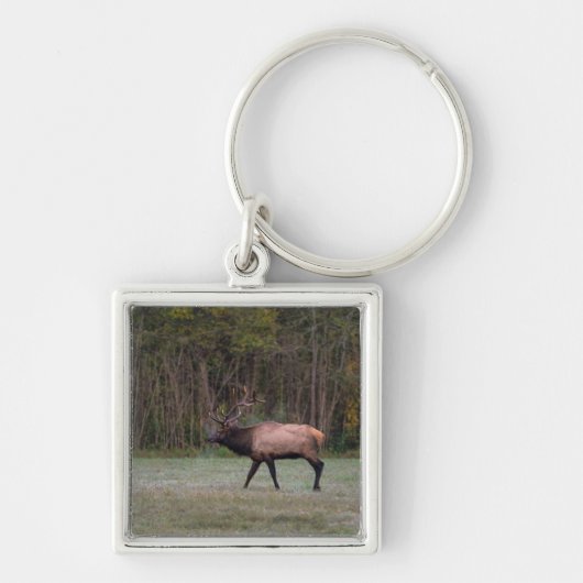 Bull Elk Morning Walk Sleutelhanger (Voorkant)