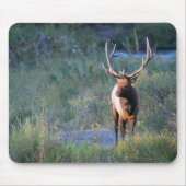 Bull Elk Muismat (Voorkant)