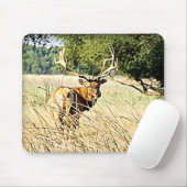 Bull Elk Muismat (Met muis)