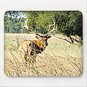 Bull Elk Muismat