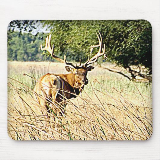 Bull Elk Muismat (Voorkant)