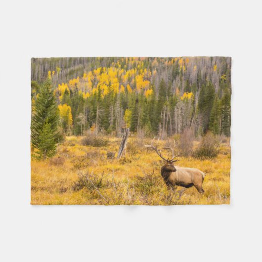 Bull Elk | Nationaal park Rocky Mountain Colorado Fleece Deken (Voorkant (Horizontaal))