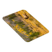 Bull Elk | Nationaal park Rocky Mountain Colorado Magneet (Rechterzijde)