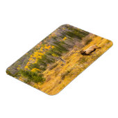 Bull Elk | Nationaal park Rocky Mountain Colorado Magneet (Linkerzijde)