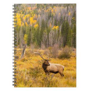 Bull Elk Nationaal park Rocky Mountain Colorado Notitieboek