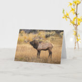 Bull Elk | Nationaal Park Yellowstone Kaart (Gele Bloem)