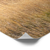 Bull Elk | Nationaal Park Yellowstone Poster (Hoek)