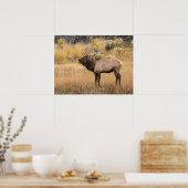 Bull Elk | Nationaal Park Yellowstone Poster (Keuken)