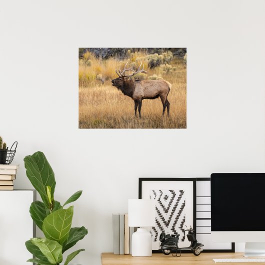 Bull Elk | Nationaal Park Yellowstone Poster (Thuiskantoor)