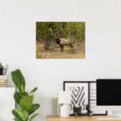 Bull Elk | Nationaal Park Yellowstone Poster (Thuiskantoor)