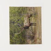 Bull Elk | Nationaal Park Yellowstone Wandkleed (Voorkant)