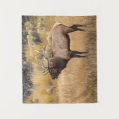 Bull Elk | Nationaal Park Yellowstone Wandkleed (Voorkant)