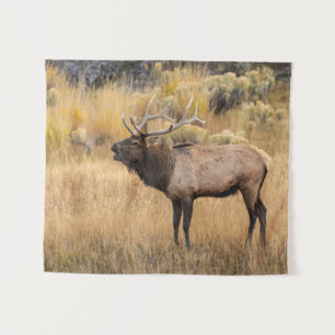 Bull Elk   Nationaal Park Yellowstone Wandkleed