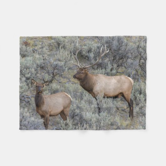 Bull Elk | Nationaal park Yellowstone Wyoming Fleece Deken (Voorkant (Horizontaal))