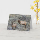 Bull Elk | Nationaal park Yellowstone Wyoming Kaart (Gele Bloem)