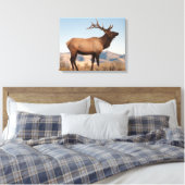 Bull Elk Near Mammoth | Wyoming Canvas Afdruk (Insitu (Slaapkamer))