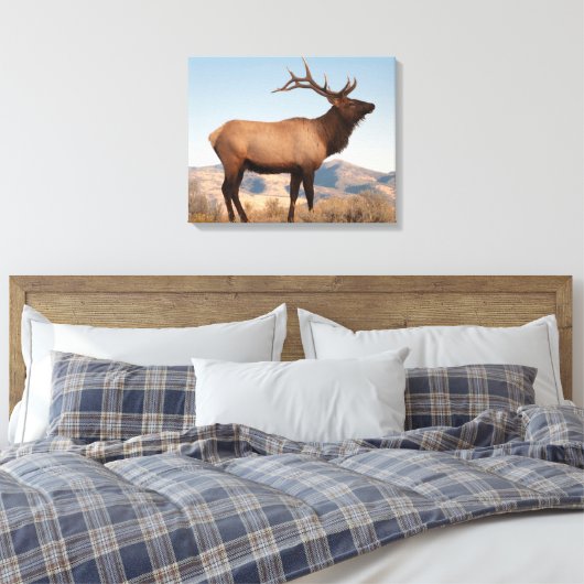 Bull Elk Near Mammoth | Wyoming Canvas Afdruk (Insitu (Slaapkamer))