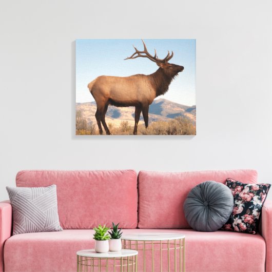Bull Elk Near Mammoth | Wyoming Canvas Afdruk (Insitu (Woonkamer))