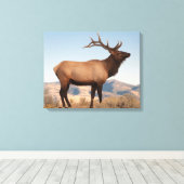 Bull Elk Near Mammoth | Wyoming Canvas Afdruk (Insitu (Houten vloer))