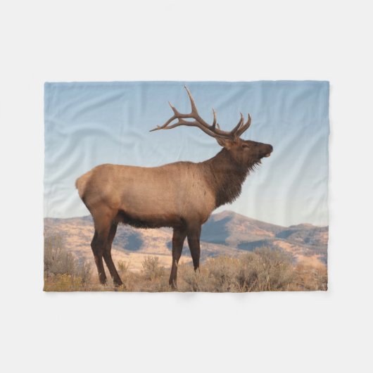 Bull Elk Near Mammoth | Wyoming Fleece Deken (Voorkant (Horizontaal))