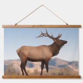 Bull Elk Near Mammoth | Wyoming Hangend Wandkleed (Voorkant)