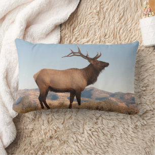 Bull Elk Near Mammoth Wyoming Kussen