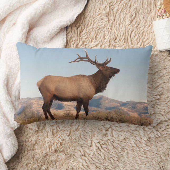Bull Elk Near Mammoth | Wyoming Kussen (Deken)